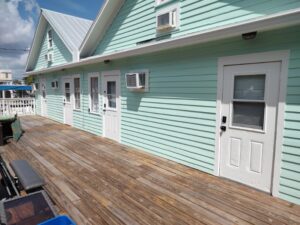 Pirate Painting Of Key West Gal (5)